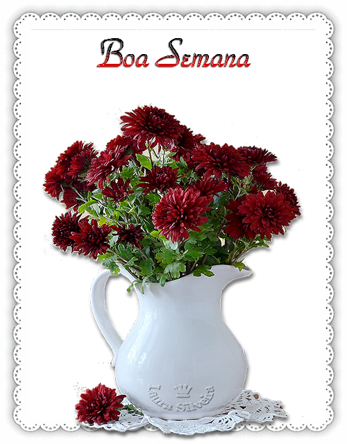 clara-silveira5f5635d3ab511.png
