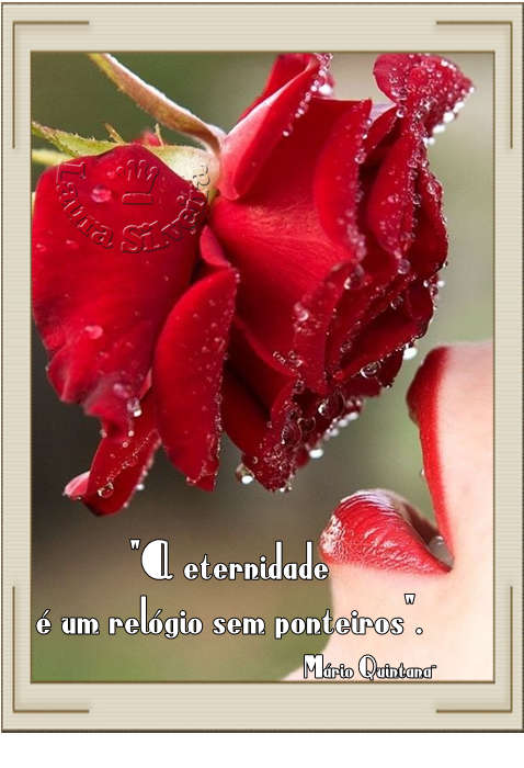 clara-silveira5f7793223115b.png