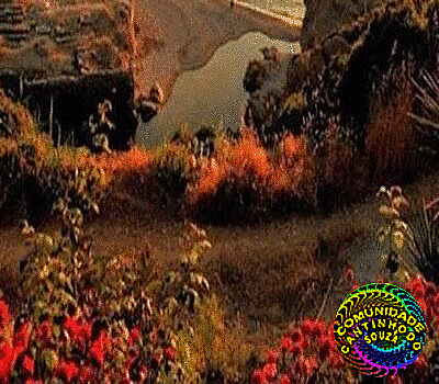joaquim-alves-de-souza6188b4457a796.gif