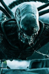Xenomorfo