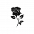 ɑll ᴛhιngs ɯιcκeᴆ.
