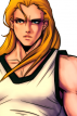 Andy Bogard®