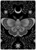 anitter