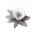 ᯽⠀⠀𝔏lewellyn.