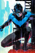 Asa Noturna ○ Dick Grayson