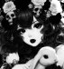༉‧₊˚. Avery Spპllman
