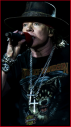 Axl rose 