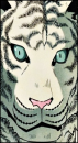 《❝Ꮤhιtє Ƭιgєr۰  ─── 怪獣××❛Λttα̲cƙ ∿ ɃΛƘƘΘ◞