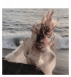 Birth of Venus.