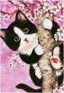 Blossom 1
