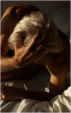 Riven.