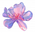 botanicalnymphies