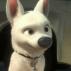 canidae