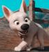canine