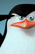 capitão - líder dos jovens pinguins