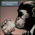 — CHIMP.