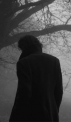 Heathcliff
