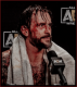 CM PUNK