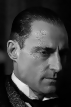 Corvus
