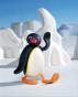 pingu.