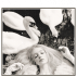 Cygne.