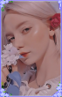  ♡ Elain,The Clumsy Fairy