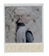 👑 ‧ Daenerys Targaryen