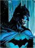 Bruce Wayne, BATMAN.