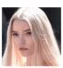Dahlia