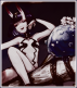 shuten doji.
