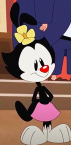 Dot Warner