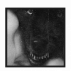 𝔇uskworn