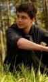 Dylan de Point Kiasyd