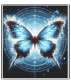 Butterfly Effect