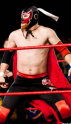 El Generico &reg; Underdog From The Underground