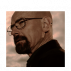 Walter White