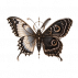  Cabinet ❦f Wings.