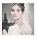 Erato, 𝘵𝘩𝘦 Μούσα.