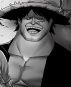 FAKE MUGIWARA // Captain Demaro Black