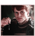 Sandor Redwyne.