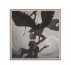 𝔉ᴏʀʙɩᴅᴅen 𝔏ᴏʋe.