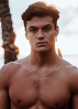 Gaston Laurent
