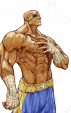 Sagat