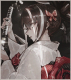    kawakami gensai