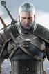 Geralt de R&iacute;via