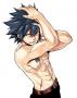 Gray Fullbuster