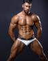 Gregory Thalles
