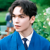 Vernon©️