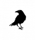 &sdot;˚₊‧ heimdallr ‧₊˚