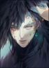 ℌowl